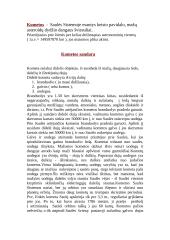 Kometos sandara ir tipai 2 puslapis