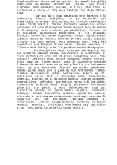 Kosminiai spinduliai 4 puslapis