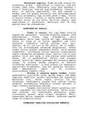 Augalų paplitimas 4 puslapis