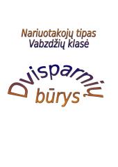 Dvisparniai
