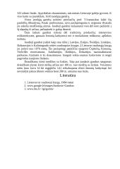 Juodasis gandras 3 puslapis