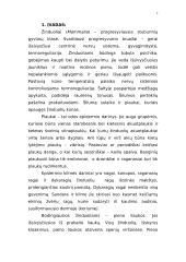 Žinduoliai ir žinduoliai Lietuvoje 2 puslapis