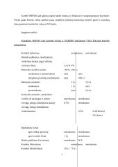Mokėjimo kortelės "IMPARCard" (Verslo aplinka) 7 puslapis