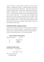 Kreditinės kortelės ir jų apsauga 5 puslapis