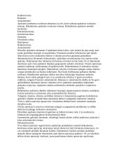 Apskaita samprata 11 puslapis