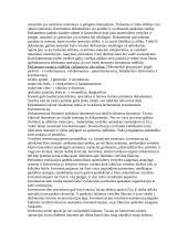 Apskaita samprata 12 puslapis