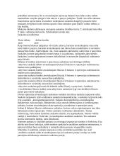 Apskaita samprata 13 puslapis