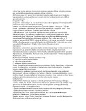 Apskaita samprata 14 puslapis