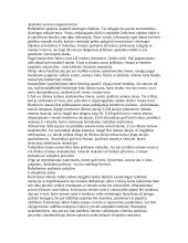 Apskaita samprata 16 puslapis