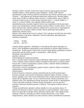 Apskaita samprata 18 puslapis