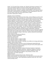 Apskaita samprata 19 puslapis