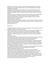 Apskaita samprata 20 puslapis