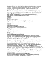 Apskaita samprata 7 puslapis