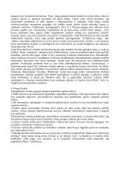 SSRS suirimo priežastys 4 puslapis