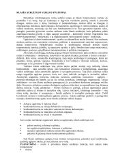 Klasės auklėtojo vaidmuo 4 puslapis