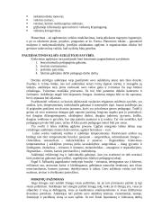 Klasės auklėtojo vaidmuo 5 puslapis