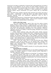 Klasės auklėtojo vaidmuo 9 puslapis