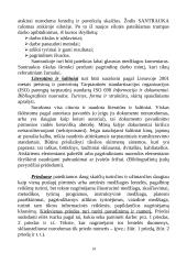 Kursinių darbų metodiniai nurodymai 13 puslapis
