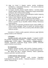 Kursinių darbų metodiniai nurodymai 20 puslapis
