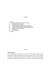 Smurtą patyrę vaikai 2 puslapis