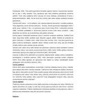 Smurtą patyrę vaikai 3 puslapis