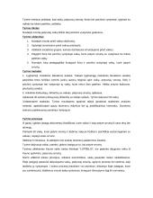 Smurtą patyrę vaikai 4 puslapis