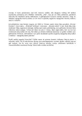 Ar tautiškumas ir pilietiškumas madingas? 3 puslapis