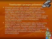 Civilinės saugos pristatymas 6 puslapis