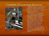 Civilinės saugos pristatymas 7 puslapis