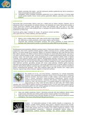 Kontracepcijos pristatymas 3 puslapis