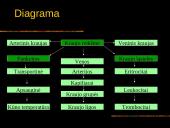 Kraujas. Skaidrės. 2 puslapis