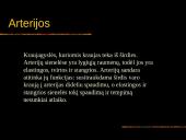 Kraujas. Skaidrės. 11 puslapis