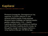 Kraujas. Skaidrės. 12 puslapis