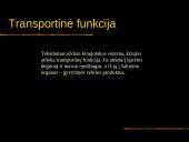 Kraujas. Skaidrės. 4 puslapis