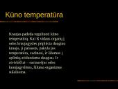 Kraujas. Skaidrės. 6 puslapis