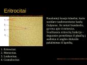 Kraujas. Skaidrės. 7 puslapis