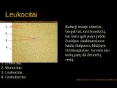 Kraujas. Skaidrės. 8 puslapis