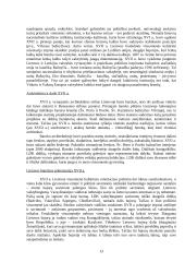 LDK plėtra 13 puslapis