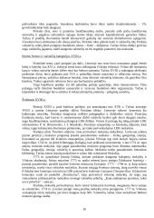 LDK plėtra 16 puslapis