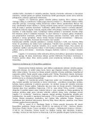 LDK plėtra 19 puslapis