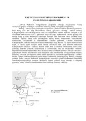 LDK plėtra 5 puslapis