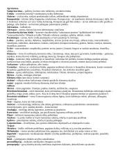 Lietuvių literatūros terminai 2 puslapis