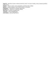 Lietuvių literatūros terminai 3 puslapis