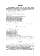 Lietuvos geležinkeliai 12 puslapis