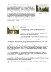 Lietuvos tautinės mažumos 14 puslapis