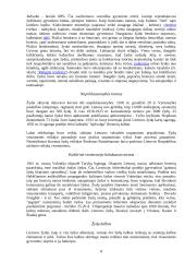 Lietuvos tautinės mažumos 8 puslapis