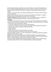 Mesopotamija ir Egiptas 3 puslapis