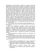 Vaiko orumą ir autonomija mažinantys veiksniai 2 puslapis