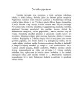 Baltų simboliai lietuvių kultūroje (XXI a.) 5 puslapis