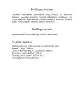 Baltų simboliai lietuvių kultūroje (XXI a.) 7 puslapis